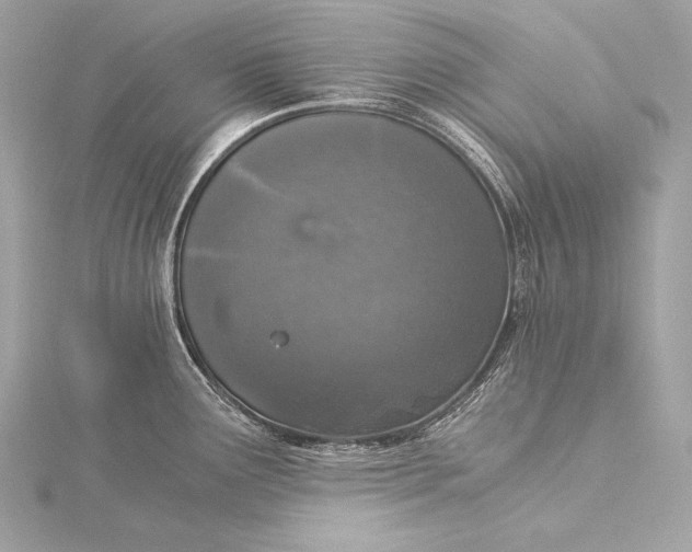 X0000116021291200912041742