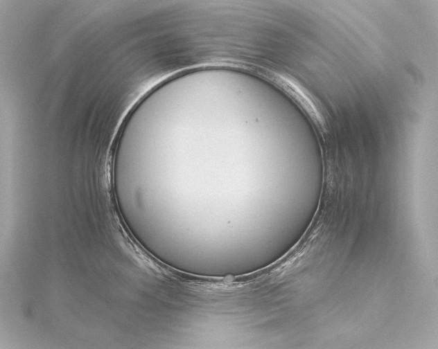 X0000116021292200912041742