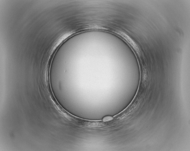 X0000116021293200912041742