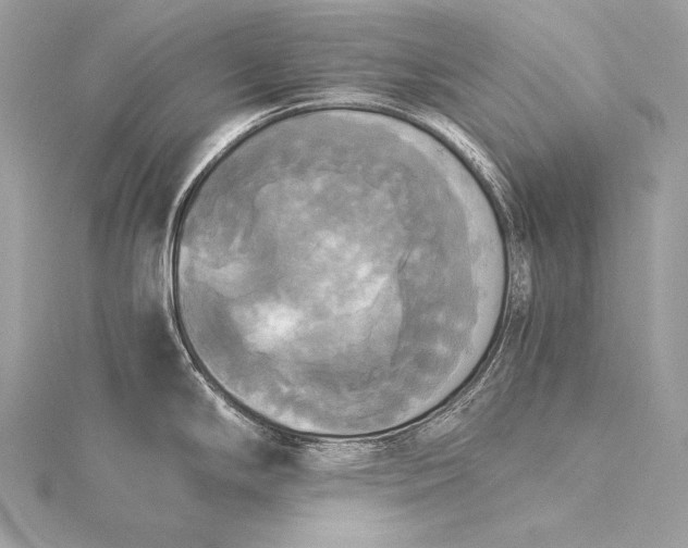 X0000116021294200912041742