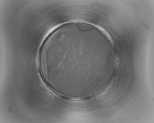 X0000116021295200912041742