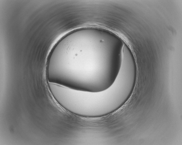 X0000116021296200912041742