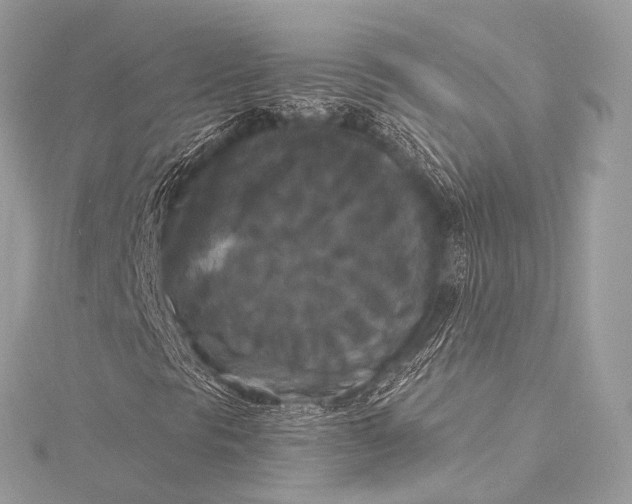 X0000116021297200912041741