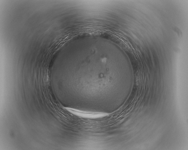 X0000116021298200912041741