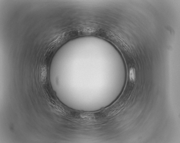 X0000116021299200912041741