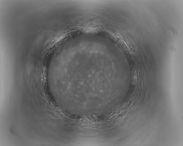 X0000116021301200912041741