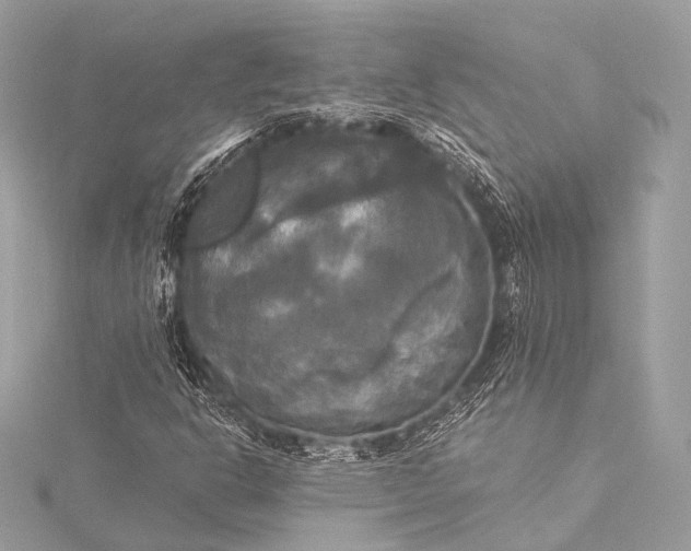 X0000116021302200912041741