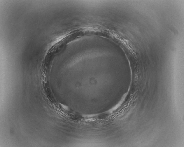 X0000116021303200912041741