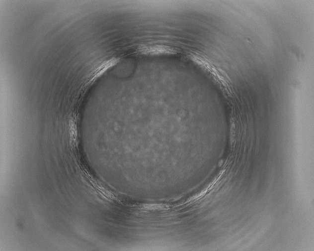 X0000116021305200912041742