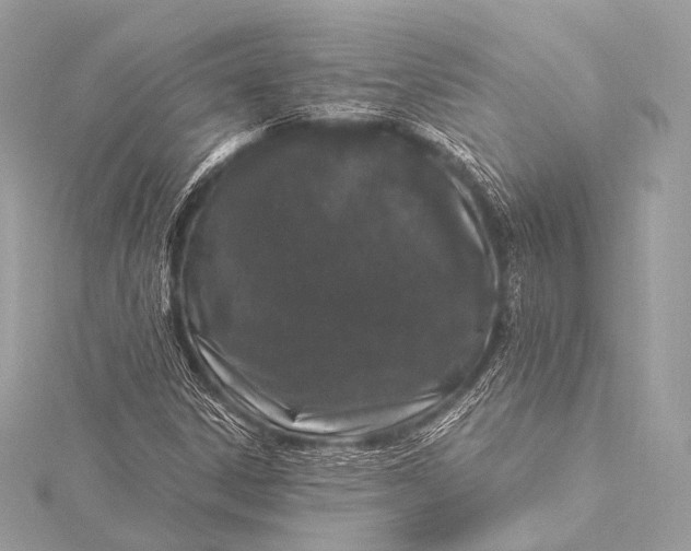 X0000116021306200912041742