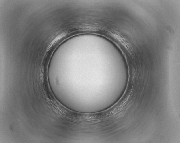 X0000116021307200912041742