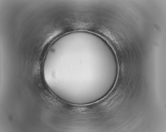 X0000116021309200912041742