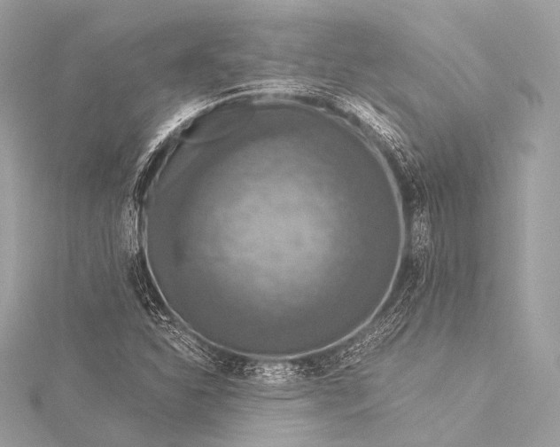 X0000116021310200912041742