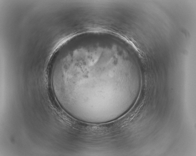 X0000116021311200912041742