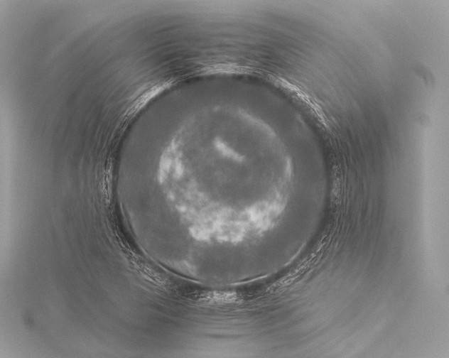 X0000116021313200912041742