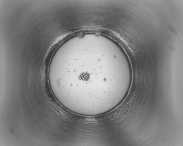 X0000116021315200912041742