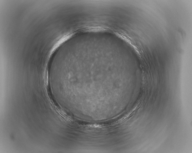 X0000116021317200912041742