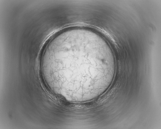 X0000116021318200912041742