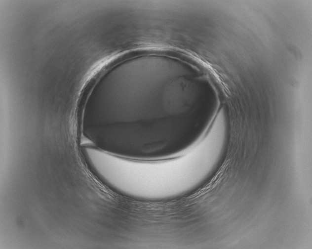 X0000116021319200912041742