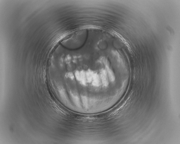 X0000116021321200912041742