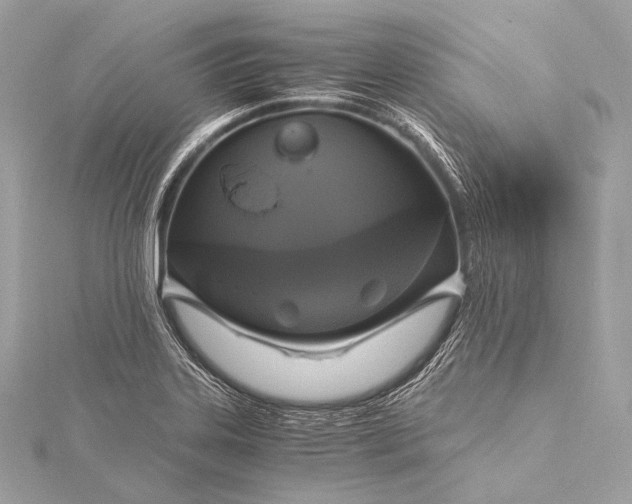 X0000116021323200912041742