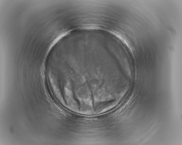 X0000116021325200912041742