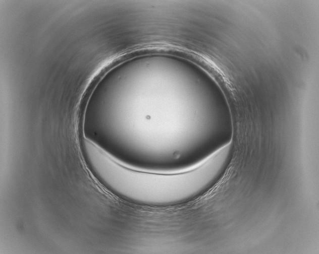 X0000116021326200912041742