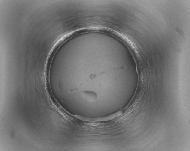 X0000116021327200912041742