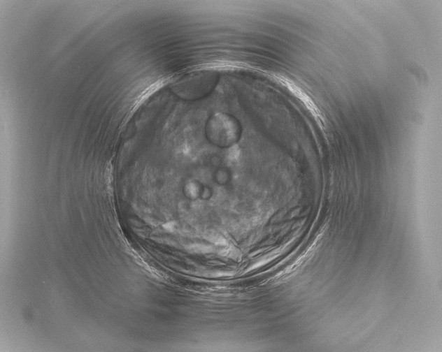 X0000116021329200912041742