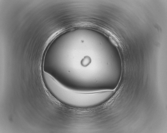 X0000116021330200912041742