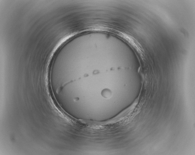 X0000116021331200912041742