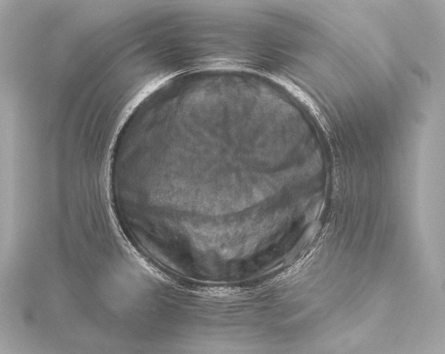 X0000116021333200912041742