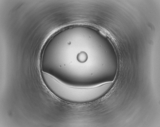 X0000116021334200912041742