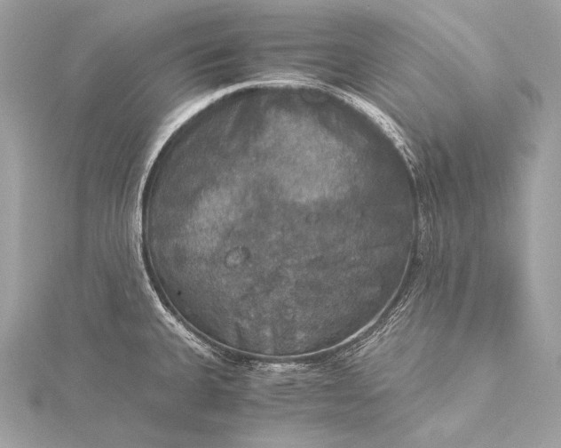 X0000116021335200912041742