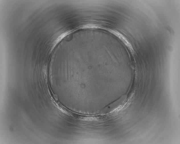 X0000116021337200912041742