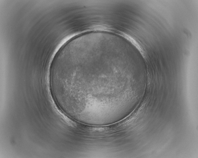 X0000116021339200912041742