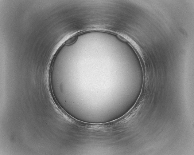 X0000116021341200912041742