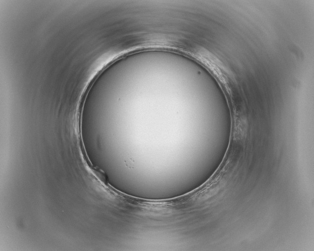 X0000116021342200912041742