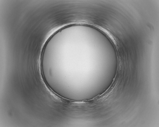 X0000116021343200912041742