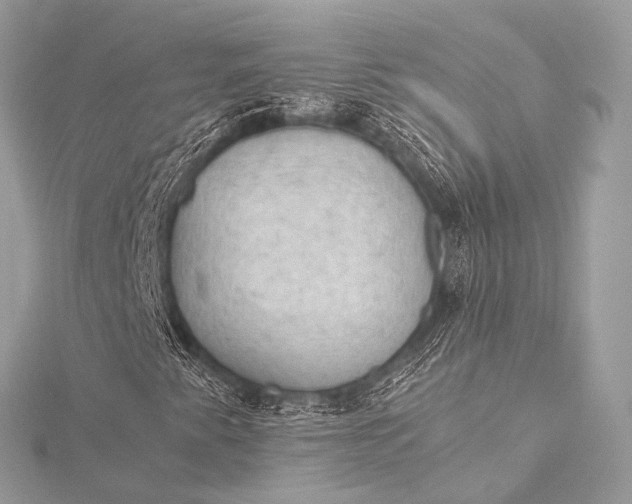 X0000116021345200912041741