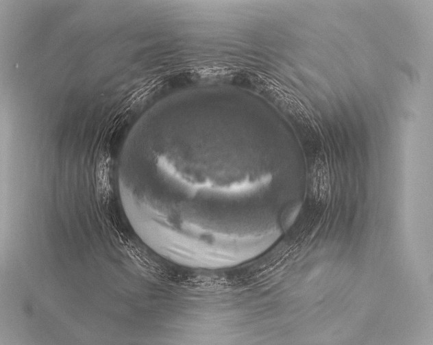 X0000116021346200912041741