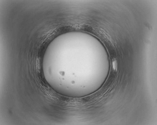 X0000116021347200912041741