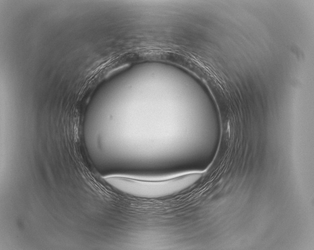 X0000116021348200912041741