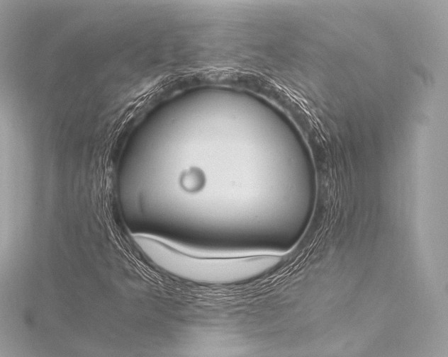 X0000116021349200912041741