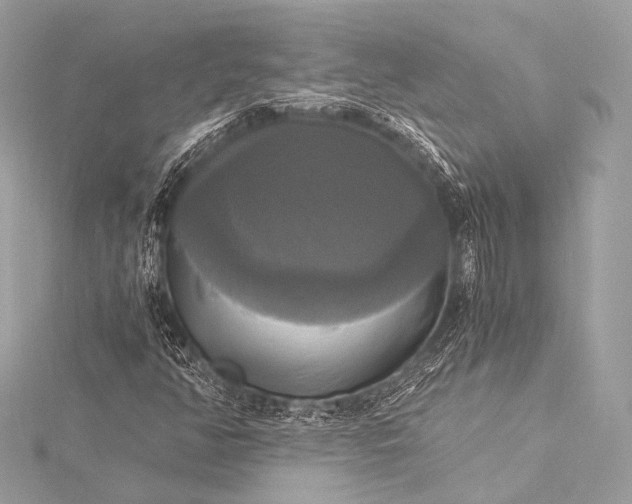 X0000116021350200912041741