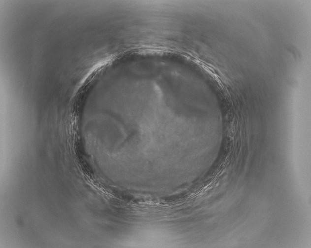 X0000116021351200912041741