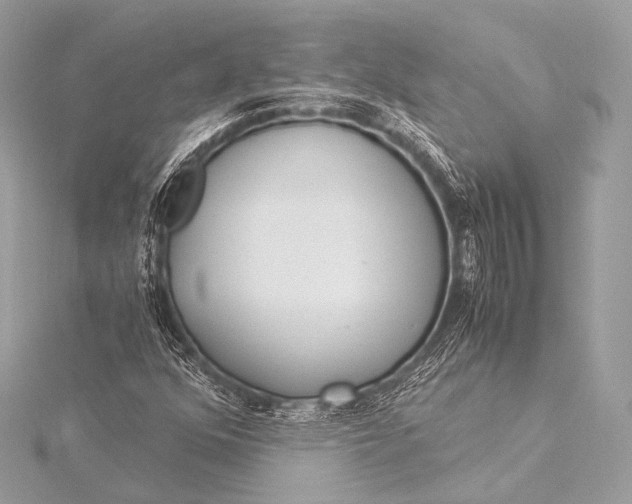 X0000116021352200912041741