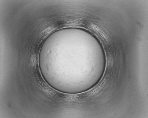 X0000116021353200912041741