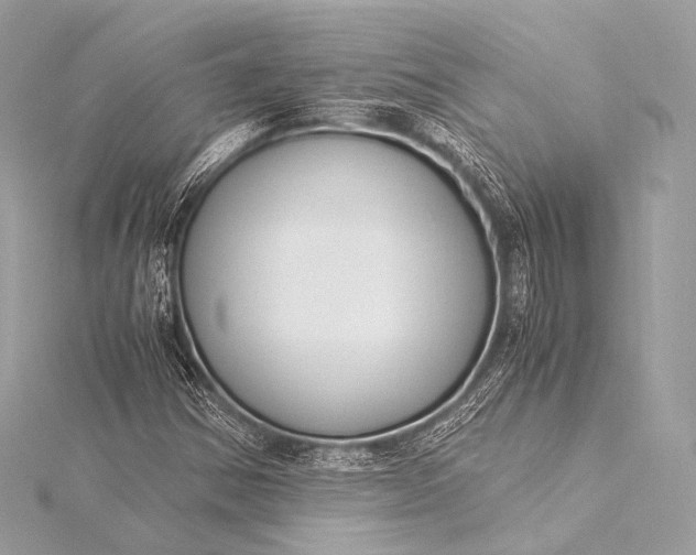 X0000116021354200912041741