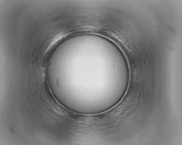 X0000116021355200912041741